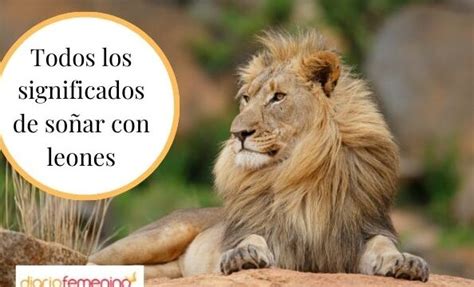 Qu Significa So Ar Con Leones Sueltos