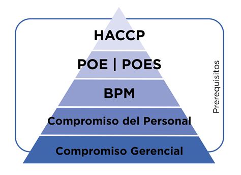 El Haccp Fallar Sin Compromiso Descubre Por Qu