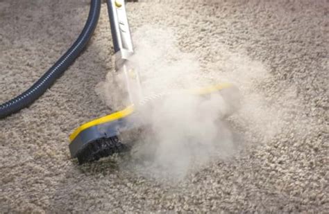 Carpet cleaning tips that are a must-know to avoid flaring up allergies