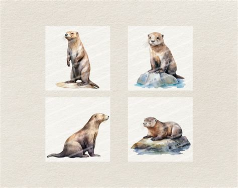 Watercolor Otter Clipart Digital Illustration Baby Otters Png