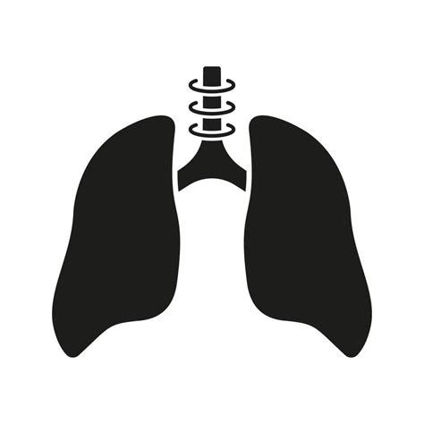 Bronchi And Trachea Breath System Pictogram Healthy Bronchial