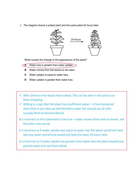 SOLUTION Transport In Plants Cie Igcse Biology 610 Classified Paster