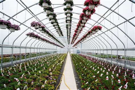 High Tunnel Greenhouses Prospiant