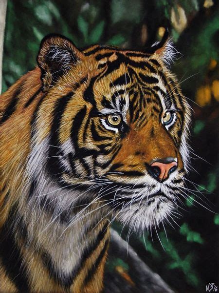 Pastell Tiger Pastellmalerei Wildkatze Tierwelt Tiere Von Nadine