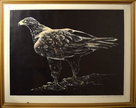 Pamela Hardwick Golden Eagle Mutualart