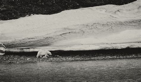 Svalbard Photography Tour by Darter Photography