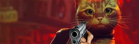 Stray Shouldnt Have Given The Cat A Gun