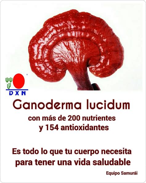 Dxn Ganoderma Company Ganoderma Lucidum El Hongo Milagroso