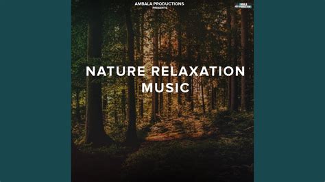 Nature Relaxation Music - YouTube