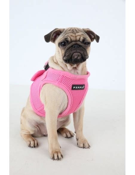 Harnais Pour Chien Rose Puppia Soft Veste