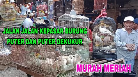 Pasaran Puter Pelung Dan Puter Dekukur Murah Meriah Di Madura Ketapang