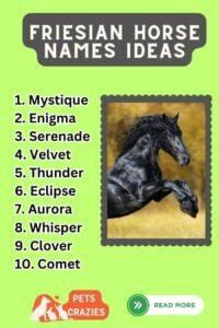 350+ Friesian Horse Names (The Ultimate Naming Guide)