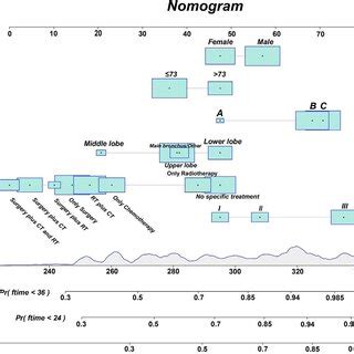 Nomogram Predicting 1 Year 2 Year And 3 Year Survival Probability The