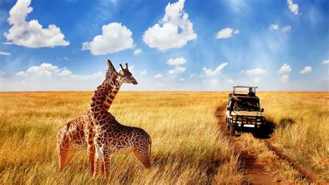 Africa Tour Packages Africa Safari Packages Africa Holiday Packages