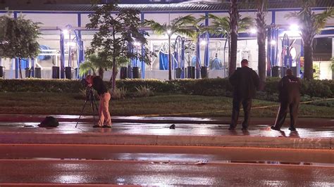 Police Investigate Fatal Hit And Run Crash In Fort Lauderdale YouTube