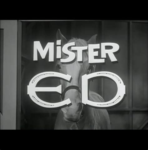 Mister Ed 1958