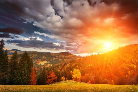 K Seasons Autumn Forests Sunrises And Sunsets Scenery Clouds Hd