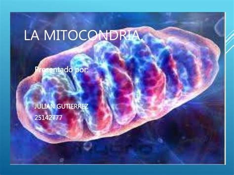 Las Mitocondrias PPT