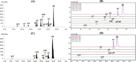 The Representative Hplc Radio Chromatogram Rac And The Corresponding Download Scientific