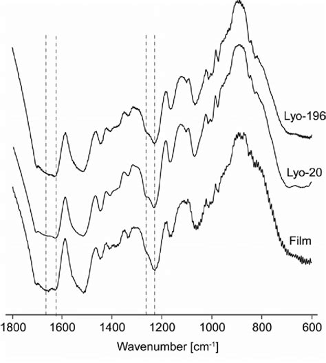 Fourier Transformed Infrared Spectra Ftir Of Silk Fibroin Matrices