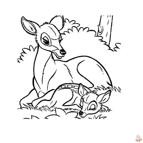 Adorables coloriages de faon et de biche une délicieuse poursuite