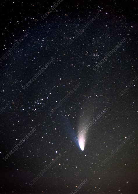 Comet Hale-Bopp, 1997 - Stock Image - C024/7011 - Science Photo Library