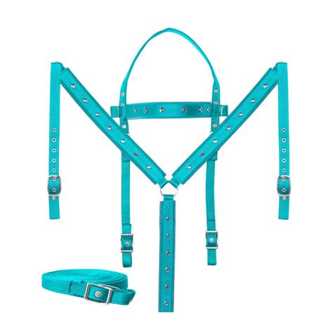 Teal Western Horse Tack Set Barrel Racing Crystal Show Synthetic Nylon TS063