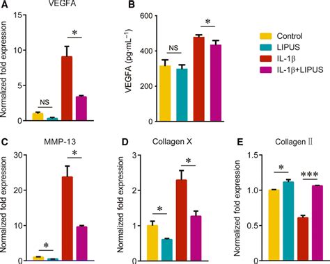 LIPUS Regulates VEGFA And Catabolic Eventrelated Factor Expression In