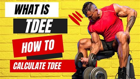 What Is Tdee And How To Calculate Total Daily Energy Expenditure Youtube