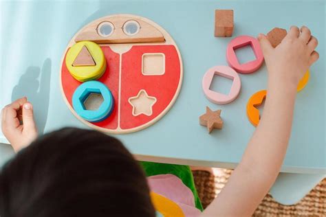 Brinquedo Encaixe Montessori Divers O E Aprendizado Juntos