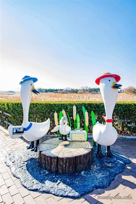 Nakdong Estuary Eco Center Busan South Korea Busanpedia