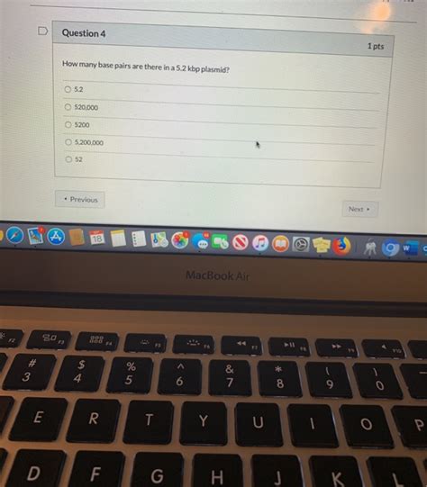 Solved D Question 4 1 Pts How Many Base Pairs Are There In A