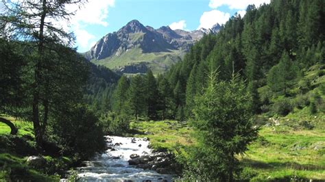 Parco Nazionale Del Gran Paradiso Storia Curiosità Flora E Fauna