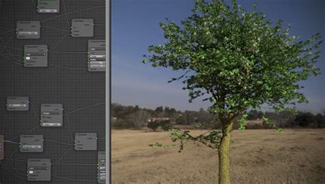 Crafting Realistic Animated Trees With Blender - Lesterbanks