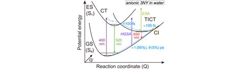 Scheme Of The Ground And Excited State Potential Energy Surfaces