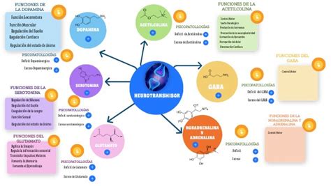 Mapa Conceptual Neurotransmisores By Jrosaleso On Genially