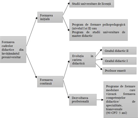 Reprezentarea Grafic A Form Rii Cadrelor Didactice Din Nv M Ntul