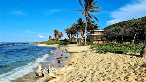 Diving In Utila - A Diver's Paradise In Honduras