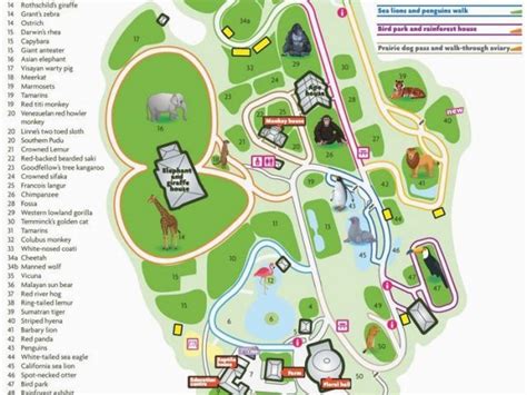 North Carolina Zoo Map Nc Zoo Map Beautiful 10 Best Printable Map 01 ...