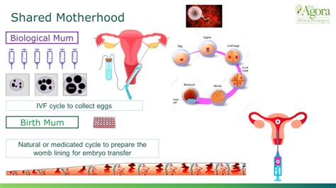 Time To Level Up And Stop Discrimination Against Same Sex Couples The Agora Clinic