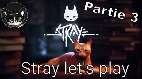 Stray Let S Play Partie Stray Straycats Jeux Video Chat Letsplay