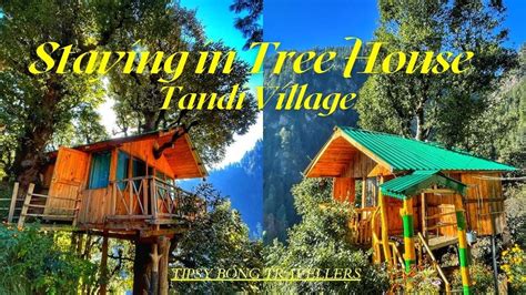 Tree House Unique Stay Jibhi Tandi Village Offbeat Himachal