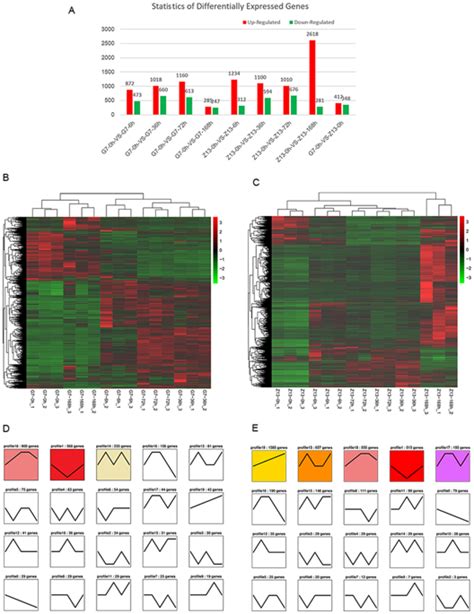 Gene Coexpression Network Analysis Combined With Metabonomics Reveals