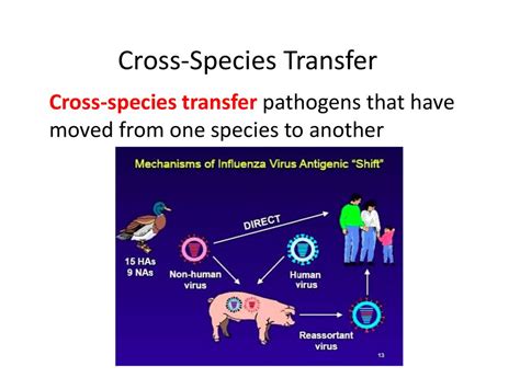 Chapter 20 The Environment And Human Health Ppt Download