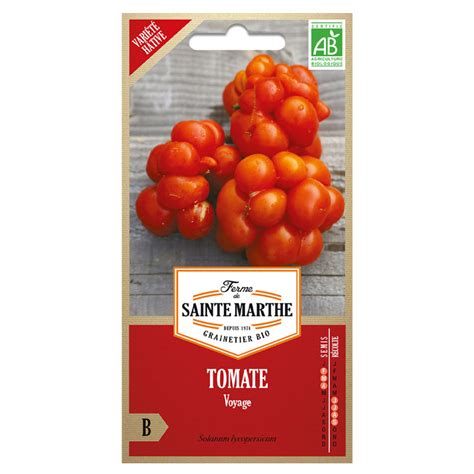 La Ferme Sainte Marthe Graines Ab Tomate Voyage