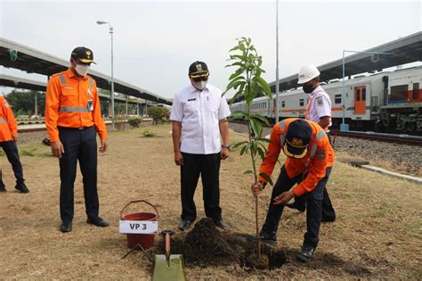 Kai Daop Cirebon Hijaukan Stasiun Dengan Tanam Pohon Trembesi Dan