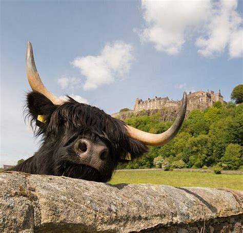 THE 15 BEST Things to Do in Stirling - 2022 (with Photos) - Tripadvisor