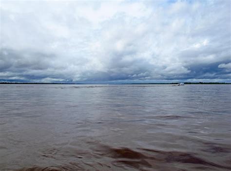 Premium Photo | The amazon river in peru south america