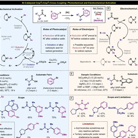 A F Mechanistic And Tactical Overview Of Ni Catalyzed C Sp C Sp