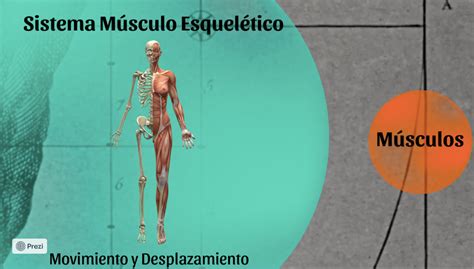 Fundamentos De Las Leyes Biol Gicas Mapa Vital